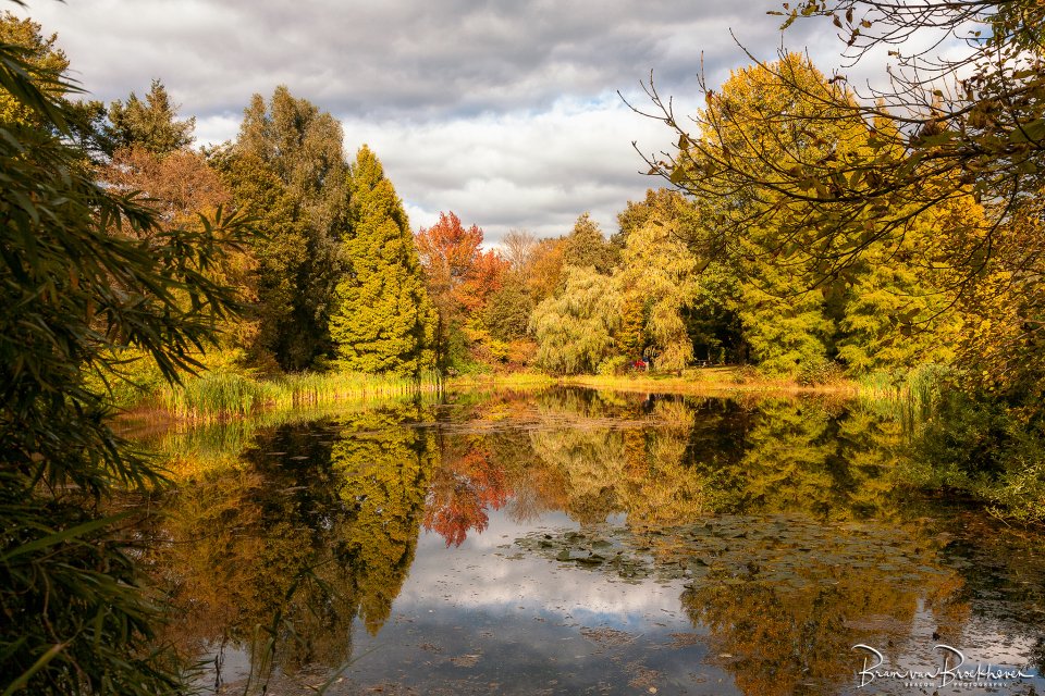 Themawandeling Herfstkleuren