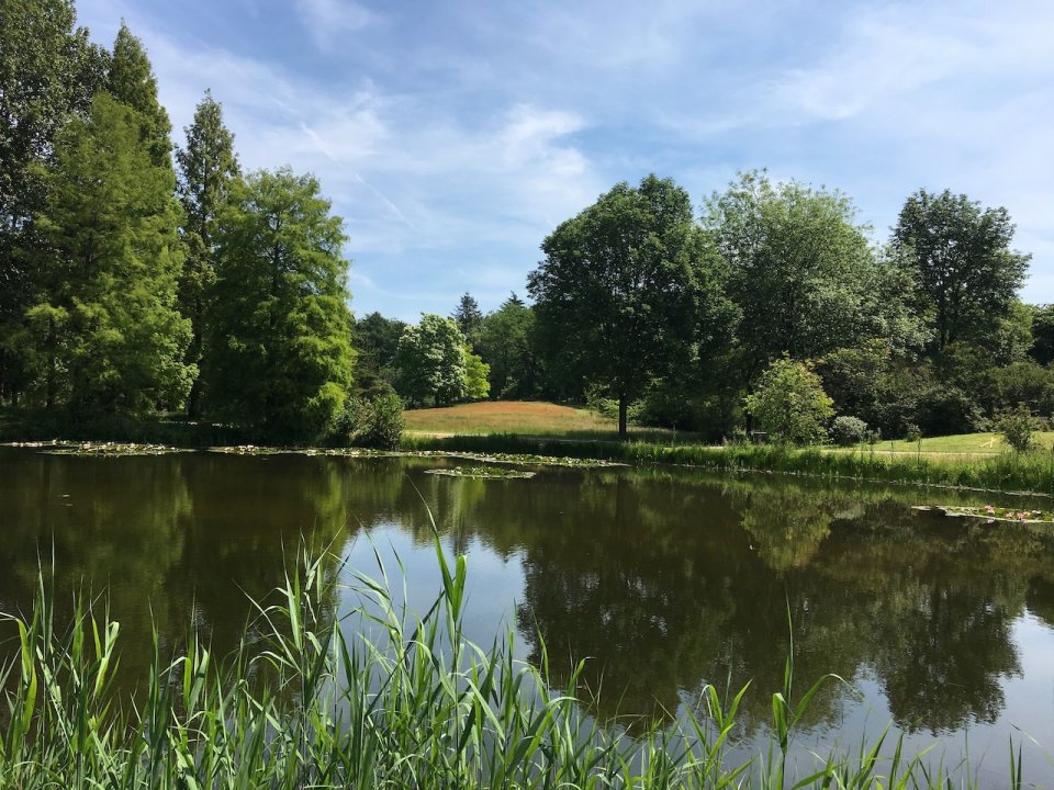 Themawandeling sferen en energie in de natuur